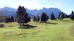 ID: 209: Herbsturlaub in Kruen 2022 / Autumn vacation in Kruen, Bavaria 2022