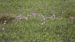 ID: 209: Herbsturlaub in Kruen 2022 / Autumn vacation in Kruen, Bavaria 2022