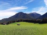 ID: 209: Herbsturlaub in Kruen 2022 / Autumn vacation in Kruen, Bavaria 2022