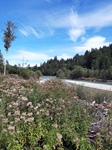 ID: 209: Herbsturlaub in Kruen 2022 / Autumn vacation in Kruen, Bavaria 2022