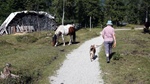 ID: 209: Herbsturlaub in Kruen 2022 / Autumn vacation in Kruen, Bavaria 2022