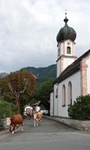 ID: 209: Herbsturlaub in Kruen 2022 / Autumn vacation in Kruen, Bavaria 2022