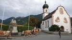 ID: 209: Herbsturlaub in Kruen 2022 / Autumn vacation in Kruen, Bavaria 2022