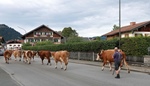 ID: 209: Herbsturlaub in Kruen 2022 / Autumn vacation in Kruen, Bavaria 2022