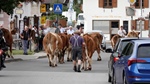 ID: 209: Herbsturlaub in Kruen 2022 / Autumn vacation in Kruen, Bavaria 2022