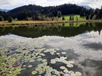 ID: 209: Herbsturlaub in Kruen 2022 / Autumn vacation in Kruen, Bavaria 2022