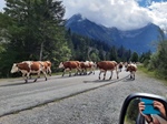ID: 209: Herbsturlaub in Kruen 2022 / Autumn vacation in Kruen, Bavaria 2022