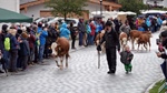 ID: 209: Herbsturlaub in Kruen 2022 / Autumn vacation in Kruen, Bavaria 2022