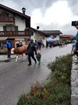 ID: 209: Herbsturlaub in Kruen 2022 / Autumn vacation in Kruen, Bavaria 2022