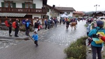 ID: 209: Herbsturlaub in Kruen 2022 / Autumn vacation in Kruen, Bavaria 2022