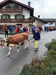 ID: 209: Herbsturlaub in Kruen 2022 / Autumn vacation in Kruen, Bavaria 2022