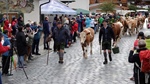 ID: 209: Herbsturlaub in Kruen 2022 / Autumn vacation in Kruen, Bavaria 2022