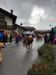ID: 209: Herbsturlaub in Kruen 2022 / Autumn vacation in Kruen, Bavaria 2022