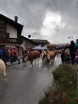 ID: 209: Herbsturlaub in Kruen 2022 / Autumn vacation in Kruen, Bavaria 2022