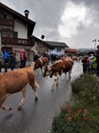 ID: 209: Herbsturlaub in Kruen 2022 / Autumn vacation in Kruen, Bavaria 2022