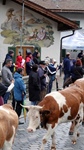 ID: 209: Herbsturlaub in Kruen 2022 / Autumn vacation in Kruen, Bavaria 2022