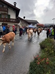 ID: 209: Herbsturlaub in Kruen 2022 / Autumn vacation in Kruen, Bavaria 2022