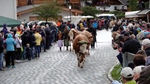 ID: 209: Herbsturlaub in Kruen 2022 / Autumn vacation in Kruen, Bavaria 2022