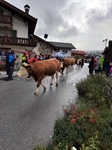ID: 209: Herbsturlaub in Kruen 2022 / Autumn vacation in Kruen, Bavaria 2022