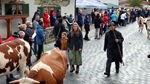 ID: 209: Herbsturlaub in Kruen 2022 / Autumn vacation in Kruen, Bavaria 2022