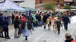 ID: 209: Herbsturlaub in Kruen 2022 / Autumn vacation in Kruen, Bavaria 2022
