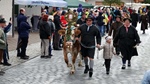 ID: 209: Herbsturlaub in Kruen 2022 / Autumn vacation in Kruen, Bavaria 2022