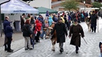 ID: 209: Herbsturlaub in Kruen 2022 / Autumn vacation in Kruen, Bavaria 2022