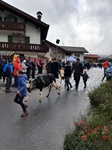 ID: 209: Herbsturlaub in Kruen 2022 / Autumn vacation in Kruen, Bavaria 2022