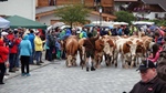 ID: 209: Herbsturlaub in Kruen 2022 / Autumn vacation in Kruen, Bavaria 2022