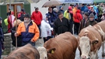 ID: 209: Herbsturlaub in Kruen 2022 / Autumn vacation in Kruen, Bavaria 2022