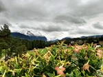 ID: 209: Herbsturlaub in Kruen 2022 / Autumn vacation in Kruen, Bavaria 2022