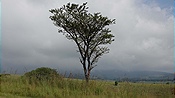 Foto SP_2023_03404: Drakensberg Boys Choir / Cathkin Park / 25.03.2023