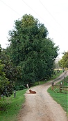 ID: 209: ARDMORE Guest Farm / Champagne Valley / 25.03.2023