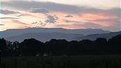 ID: 209: ARDMORE Guest Farm / Champagne Valley / 25.03.2023