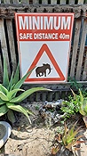 ID: 209: Tembe Elephant Park / Kwangwanase / 29.03.2023