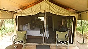 ID: 209: Tembe Elephant Park / Kwangwanase / 29.03.2023