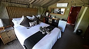 ID: 209: Tembe Elephant Park / Kwangwanase / 29.03.2023