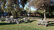Foto SP_2023_04165: Sandstone Estates Oster Festival / Setsoto / 06.04.2023