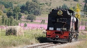 Foto SP_2023_04186: SAR 153 / Setsoto / 07.04.2023