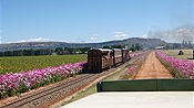 Foto SP_2023_04208: SAR 97 / Setsoto / 07.04.2023
