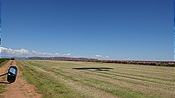 Foto SP_2023_04221: Sandstone Estates Oster Festival / Setsoto / 07.04.2023